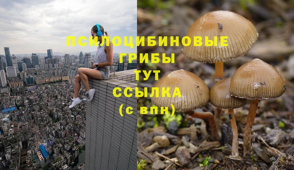 MDMA Premium VHQ Козельск